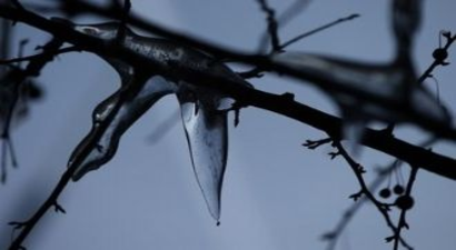 Meteorolojiden Zirai Don Uyarısı