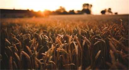 Takvimler Tarımsal Destekleri Gösteriyor