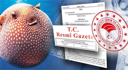 BALON BALIĞI AVCILIĞINA 15 MİLYON LİRA DESTEK SAĞLANACAK