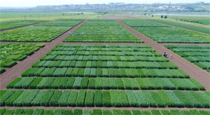 AR-GE PROJELERİNE 30 MİLYON DESTEK VERİLECEK!