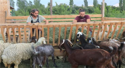 ORMAN MÜHENDİSİ İKİ KARDEŞİN `MODERN ÇİFTLİK` HAYALİ GERÇEĞE DÖNÜŞTÜ