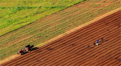 2022 Yılı Tarımsal Destek Bütçesi Belirlendi