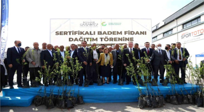 Çiftçilere 20 Bin Badem Fidanı Dağıtıldı