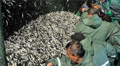 Selden Zarar Gören Balıkçılar Desteklenecek!