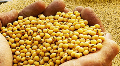 GDO Kararı Resmi Gazete`de!