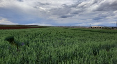 Su Riskleri Projesi Başlıyor