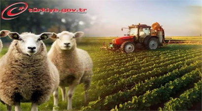 ÇKS BAŞVURULARI ARTIK E-DEVLETTE