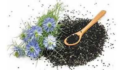 Isparta`da Deneme Amaçlı Ekilen Çörek Otundan 101 Ton Rekolte Alındı