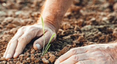 Tarımda Türkiye Yüzyılı Çalıştayı Antalya`da Başladı