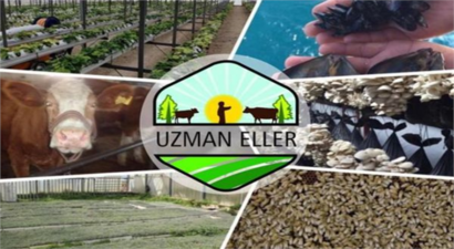 UZMAN ELLER PROJE BAŞVURULARI BAŞLADI!