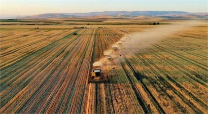 1,4 Milyar Liralık Destek Ödeniyor!