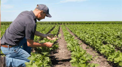 DESTEKLEMELER ÖDENİYOR!