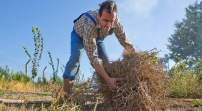Tarımın İzini Sürmek İçin Yepyeni Bir Fırsat