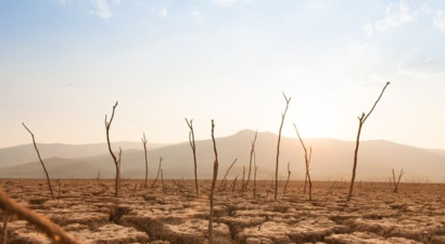 Mültecilerin Su Ayak İzi Küresel Ölçekte Yükseliyor