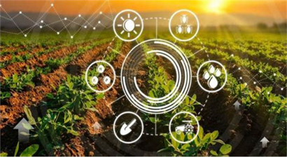 Yapay Zeka Tarımı Nasıl Değiştiriyor?