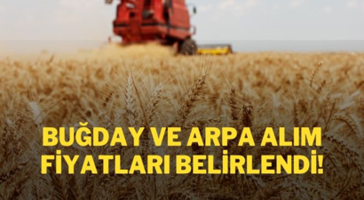 BUĞDAY VE ARPA ALIM FİYATLARI BELİRLENDİ!