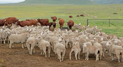DESTEKLEMELER ÖDENİYOR!