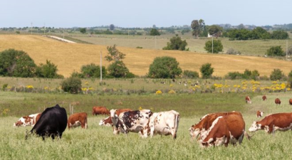 DESTEKLEMELER ÖDENİYOR!