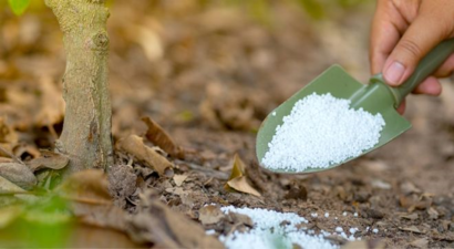 Tarımsal Gübrelerin Amonyak Emisyonları Çevre ve Sağlık İçin Tehdit Oluşturuyor