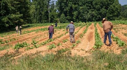 İlave Hibe Desteği Sağlanacak!