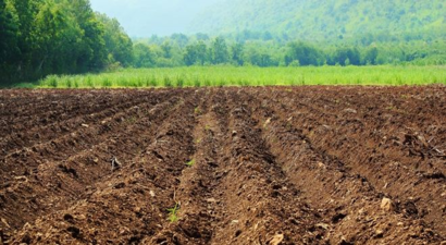 TARIMSAL DESTEKLER YATIRILIYOR!