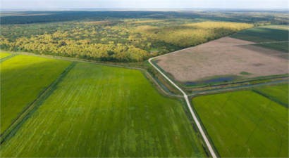 2028 Vizyonu: Dünya Lideri Türkiye, Sera Yetiştiriciliğinde Yeni Bir Çağı Başlatıyor!