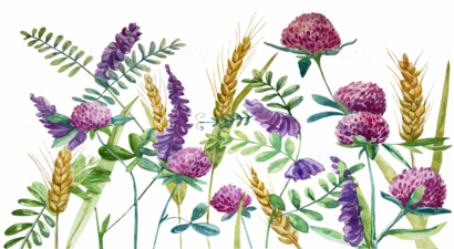 Örtü Bitkileri: Toprakta Gizlenen Hazineyi Açığa Çıkarın