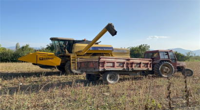 Düzensiz Yağışlara Rağmen Üretim Devam Ediyor