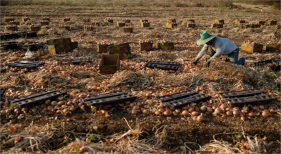 İsrail Ürünlerine Destek İçin Perakende Zincirlerini ve Tüketicileri Yönlendiriyor