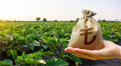 Tarımsal Destek Ödemeleri Başladı!