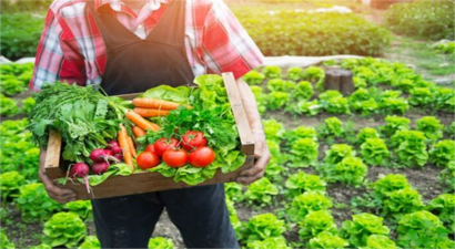 2022`de Küresel Organik Tarım, 20 Milyon Hektarı Aşarak Yüzde 26,6 Artış Kaydetti