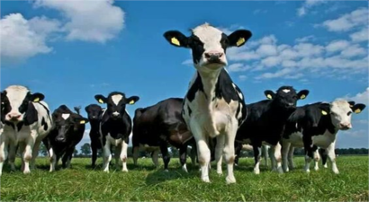 DESTEKLEMELER ÖDENİYOR!