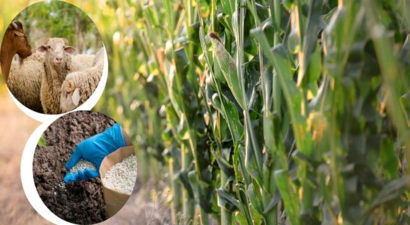 Desteklemeler Ödeniyor!