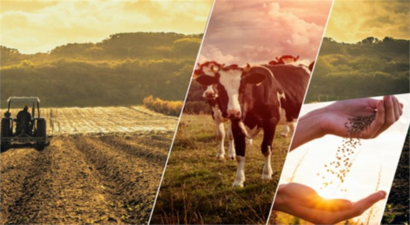 Desteklemeler Ödeniyor!