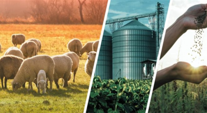 Desteklemeler Ödeniyor!