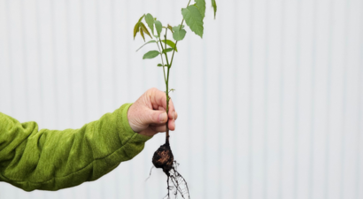 Desteklemeler Ödendi!