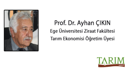 Kooperatif Hareket Yol Ayrımında mı?