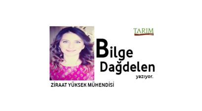 YUMURTA İLE İLGİLİ DİKKAT EDİLMESİ GEREKENLER