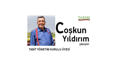 Türkiye`nin Sudan Tarım Girişimi: Büyük Vizyondan Beklenmedik Sonuca