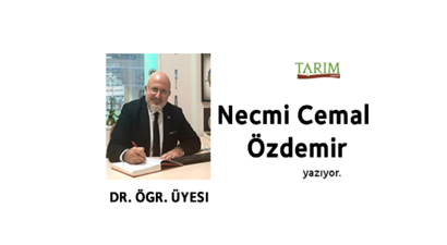 Necmi Hoca `Yeni Yılınız Kutlu Olsun`