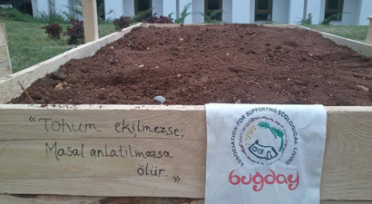 Ekolojik Yaşamın ve Doğanın Dostu Buğday Derneği