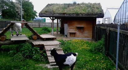 Ekolojik Yaşamın Organik Tarımla Buluştuğu Yer :Karaoklar Ekolojik Hayat Çiftliği