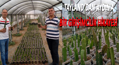 Hem Meyvesi Hem Fidanı Değerli, Üretici İçin Darphane