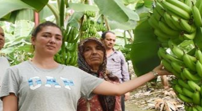 Devlet Desteğiyle Muz Üreticisi Oldu
