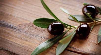 Akhisar 36 ülkeye zeytin ihracatı yapıyor