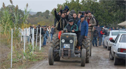 Zeytin direnişi!
