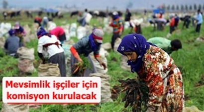 Mevsimlik işçiler için komisyon kurulacak
