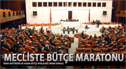 Bütçe maratonu başlıyor