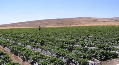 Kırsal Kalkınmada 8.Etap Tamamlandı
