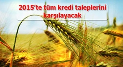 2015`te tüm kredi taleplerini karşılayacak